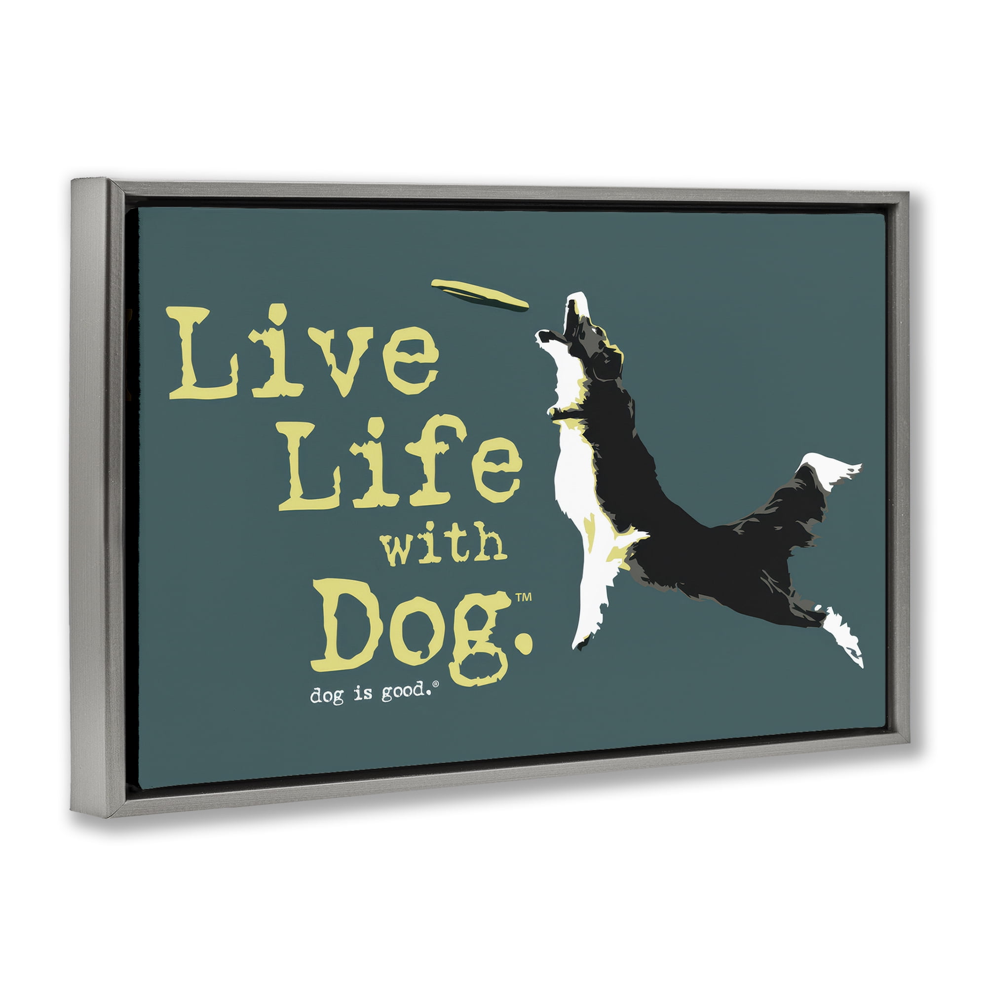 Stupell Industries Dog Playing Fetch Phrase Animals Painting Gray Floater Framed Canvas Art Print Wall Art, 31 x 21