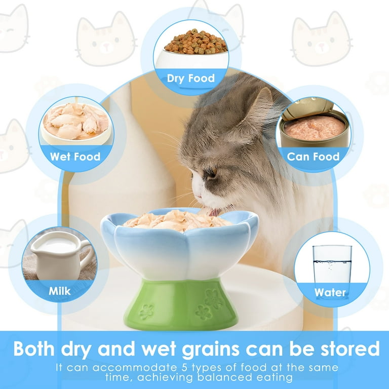 CERAMICS Raised Slow Feeder Cat Bowl, Ceramic Elevated and Titled Glass Food  Bowl Small Dogs Slow Feeder, Flower Shaped Cute Cat Dish for Dry and Wet  Food (Blue, 5.5") - Walmart.com