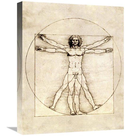22 in. Proportions of the Human Figure - Vitruvian Man Art Print - Leonardo Da Vinci