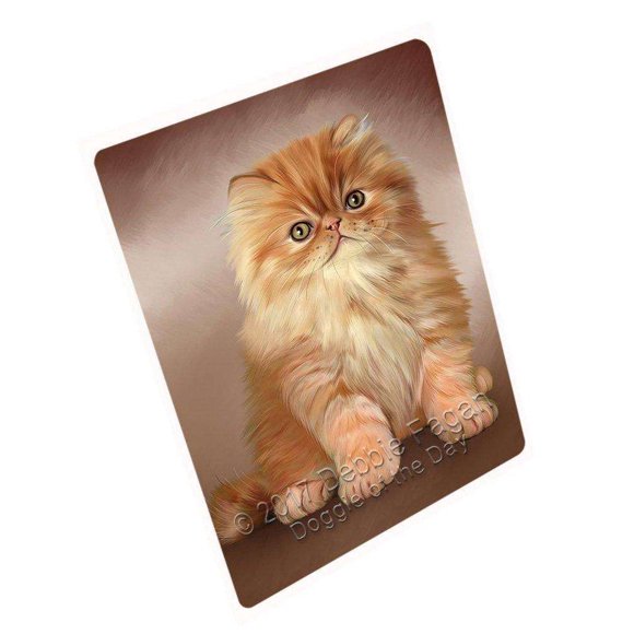 Persian Cat Blanket BLNKT51042