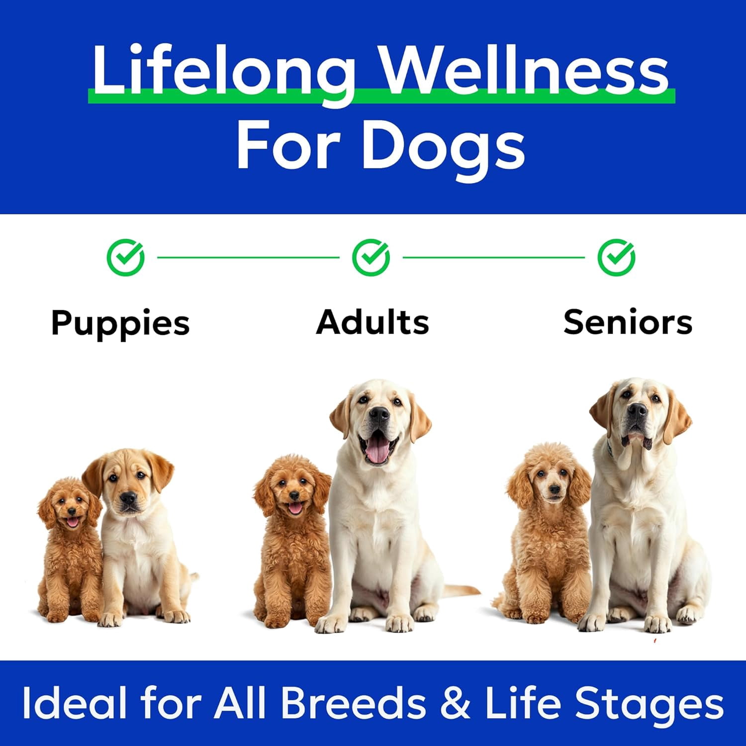 Bark&Spark Omega-3 Fish Oil Liquid for Dogs - Wild Alaskan Salmon Oil - EPA & DHA, Skin & Coat, Itch & Allergy Relief, Joint Health