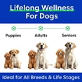 thumbnail image 6 of Bark&Spark Omega-3 Fish Oil Liquid for Dogs - Wild Alaskan Salmon Oil - EPA & DHA, Skin & Coat, Itch & Allergy Relief, Joint Health, 6 of 7