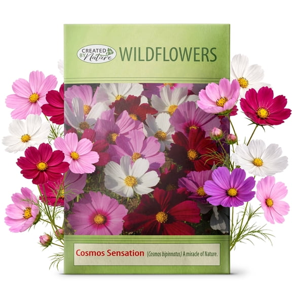 Created By Nature, Cosmos Seeds, Sensation Mix, Pink, Purple, and White Wildflower Seed Mix, 4,500 Annual Flower Seeds, Covers Up to 275 sq. ft. (Cosmos bipinnatus)
