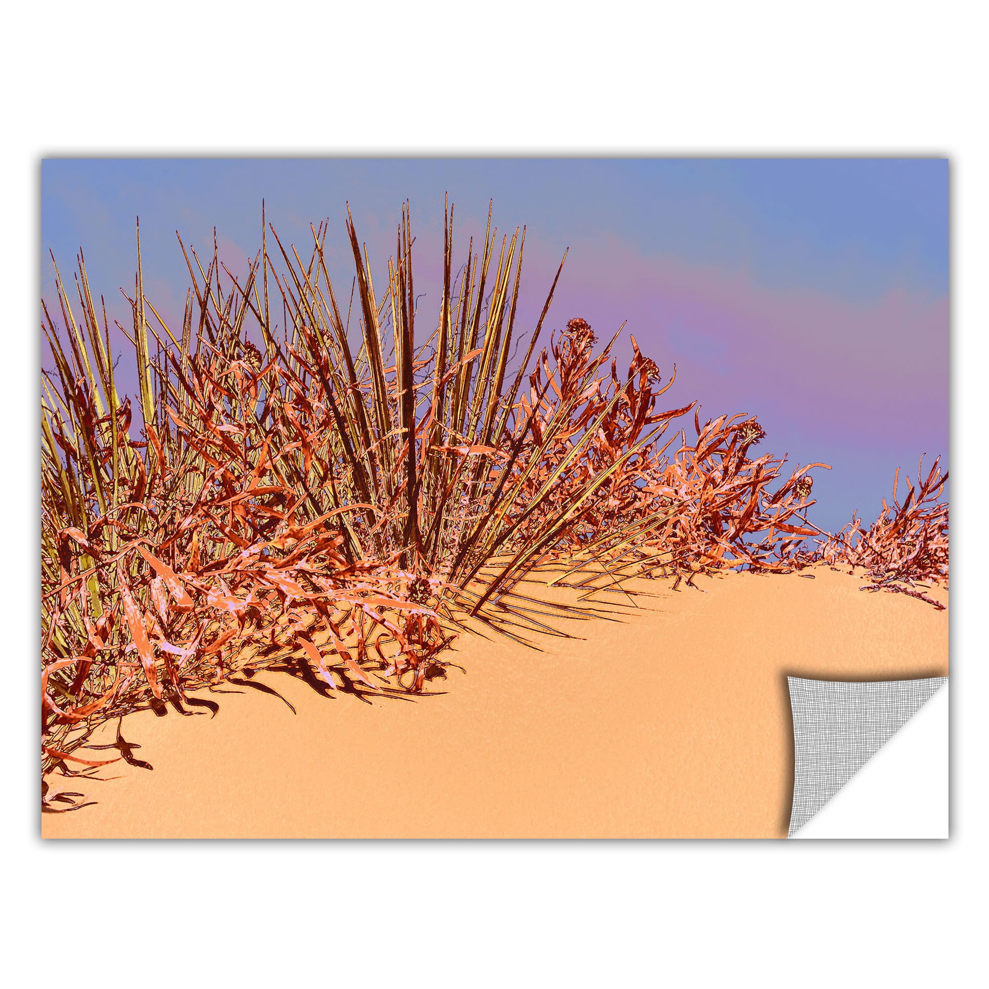 ArtWall Steve Ainsworths Dune Patterns II Art Appeelz Removable Graphic Wall Art 24 x 36