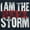 Navy, variant on I Am the Storm Psalm 56 Scripture Sweatshirt for Men or Women Brisco Brands S