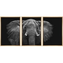 wall26 Framed Canvas Print Wall Art Set Black and White Elephant Portrait Animals Nature Photography Realism Rustic Scenic Dark Country Ultra for Living Room, Bedroom, Office - 16"x24"x3 NA