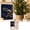 Blue, variant on Festive Highland Cow Advent Calendar Countdown Calendar with 24 Collectible Highland Cow Ornaments for Christmas Festival, Gift for Highland Cow Fans Lovers (Red Santa Hat)