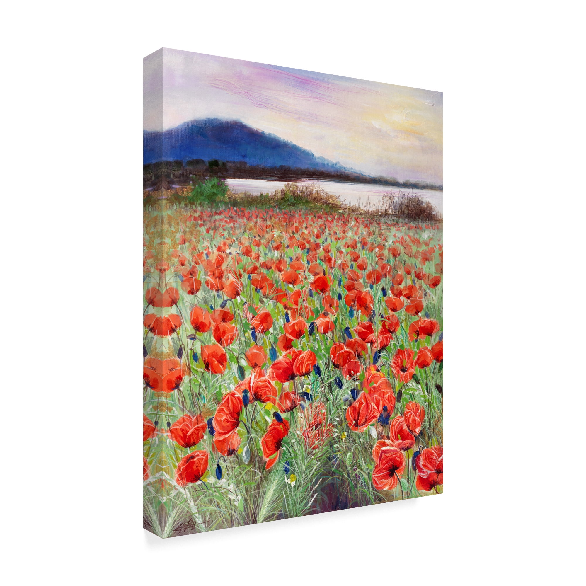 Trademark Fine Art 'Blooming Poppy 2' Canvas Art by Li Bo