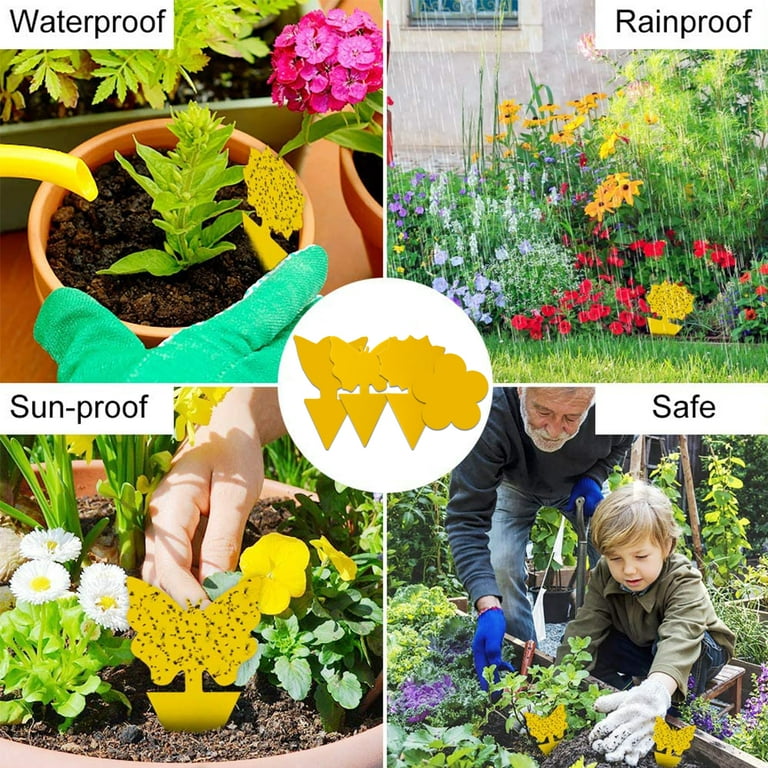 24Pcs Yellow Stick Fly Catcher, Yellow Boards Fungus Gnats Fight Indoor  Plants Potted Plants Yellow Stick, Waterproof Yellow Trap Mosquito Trap  Sticky Trap for Fruit Flies Mosquitoes Aphids Nematodes 