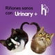 thumbnail image 4 of Suplemento Para Mascota Urinary + 100 Tabletas Para Perro Y Gato | Happy & Healthy Pets, 4 of 5