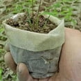 thumbnail image 2 of FUEENIRVA 500Pcs Garden Plant Grow Bags White Biodegradable Fabric Pots for Transplanting, 2 of 8