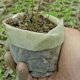 thumbnail image 3 of unbranded 500Ud Macetas De Tela No Tejida Ecológica Para Cultivo Y Protección De Plantas, 3 of 8