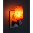 thumbnail image 1 of Rose Shape Night Light, 1 of 3