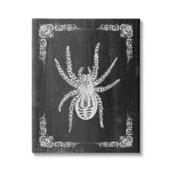 Stupell Industries Black & White Spider Holiday Painting Gallery Wrapped Canvas Print Wall Art, 30 x 40