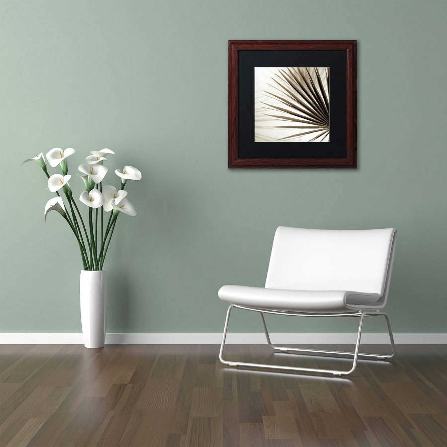 Trademark Fine Art "Florison 66" Canvas Art by Alan Blaustein, Black Matte, Wood Frame