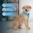 thumbnail image 3 of AeroLite No Pull Mesh Dog Harness with Lightweight, Soft, Breathable Chest Coverage, Reflective Stitching, and Adjustable Straps for Walking, Running, Training, Heavy Duty and Durable, 3 of 7