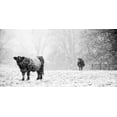 thumbnail image 2 of Aledanda 24x14 White Modern Wood Framed Museum Art Print Titled - Oreos and Milk III, 2 of 4