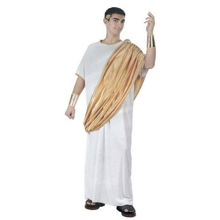 Hail Caesar Roman Plus Size Costume | Walmart Canada