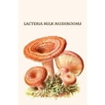 thumbnail image 1 of lacteria milk mushrooms-Fine Art Canvas Print (20" x 30"), 1 of 1