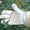 18028 S3 White/Apricot L, variant on Green Riding Long Garden Gardening Gloves Pigskin Wear-Resistant Beekeeping Shock-Proof Shock-Absorbing Anti-Piercing Anti-Scald