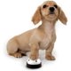 thumbnail image 3 of Campana de entrenamiento para perros, juego de 2 campanas de entrenamiento para orinal para perros y gatos, campana indicadora con Base de goma antideslizante, 3 of 5