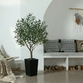 thumbnail image 5 of DR.Planzen UV Resistant 5ft Artificial Olive Tree in Black Large Planter with Pebbles– Faux Olive Tree for Indoor and Outdoor Decor, Lifelike Greenery for Home & Garden Decor, 5 of 10
