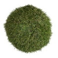 thumbnail image 1 of Vickerman FO182602 Boule d'Herbe Verte 7.25 Po., 1 of 2