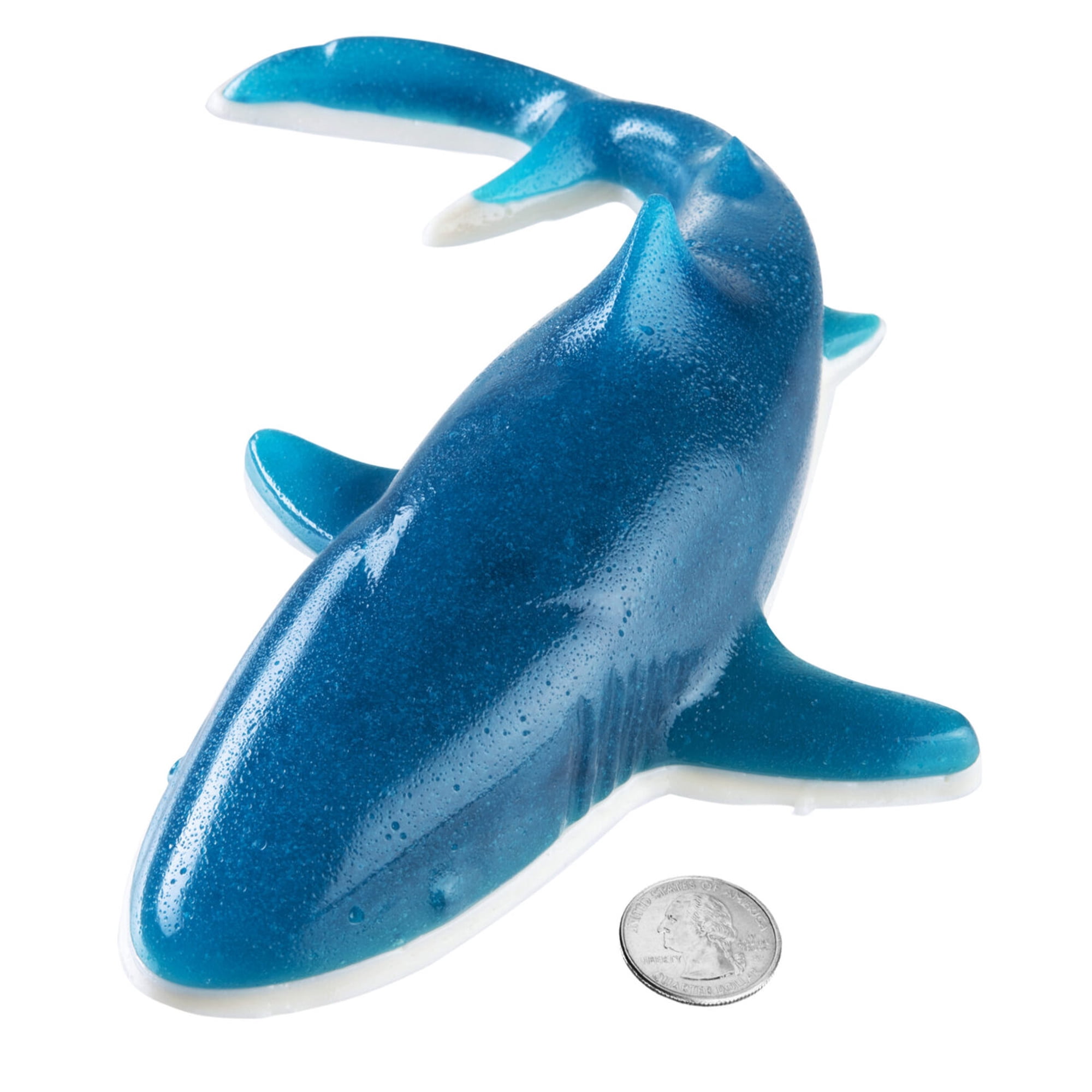Giant Gummy Shark 18 oz.