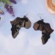 thumbnail image 2 of 2 Pares de Aretes Colgantes de affricano de Natural Elegante Aretes Colgantes Geométricos, 2 of 9