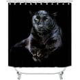 thumbnail image 2 of 4PCS Black Panther Shower Curtain Set, Cheetah Leopard Jaguar African Wildlife Safari Wild Animal Modern Bathroom Decor, Black Shower Curtain, Non-slip Bath Mat Toilet Rug, Hunting in the Dark, 2 of 7
