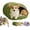 Green, variant on Warm Cat Sleeping Bed for Winter, Removable and Washable Closed-Off Cat & Dog Cave Bed with Plush Cushion, Cozy Snuggle Hut for Small Medium Pets