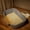 🔥 Gray, variant on Viflosae Litter Boxes Extra Large Litter Box Pet Supplies Cats Litter Box Semi-closed Open Breathable Odor-free Cats Toilet Large Space Antisplash Cats Litter Box