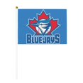 thumbnail image 2 of Drapeau de Mode Toronto Baseball Double Face à Main 5,5x8,2 Po, Polyester avec Mât en Plastique Mcp729, 2 of 7