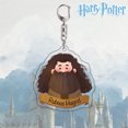 thumbnail image 5 of 2025 Nuevo llavero acrílico de la serie Harri, figura de acción de Ron Malfoy, Potter, Snape, Hermione, Dumbledore, Hagrid, Luna, Voldemort para regalos, 5 of 5