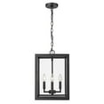 thumbnail image 2 of Golden Lighting Tribeca 4-light Outdoor Pendant in Natural Black, 2 of 2