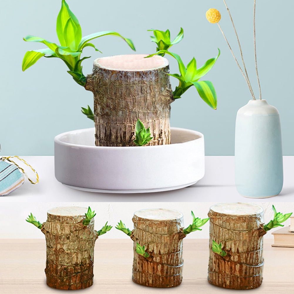 Mini Stump Glazed Ceramic Succulent Planter Flower Bonsai Pot Box Garden Decor 