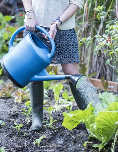 French Blue Watering Can by Gardener'S Supply Company