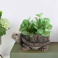 thumbnail image 4 of deevoka Animal Planter Pot Art Collection Pot for Courtyard Yard Bookshelf Turtle, 4 of 9
