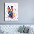 thumbnail image 5 of Epic Graffiti 'Colorful Watercolor Belgian Malinois' by Furbaby Affiliates, Canvas Wall Art, 40"x54", 5 of 8
