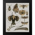 thumbnail image 2 of Wang, Melissa 12x14 Black Modern Framed Museum Art Print Titled - Nature Studies II, 2 of 5