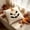 Orange, variant on YAWUBT Halloween Tufted Embroidery Jack-O'-Lantern Throw Pillow, 18x18 Inch Decorative Accent Pillow, Farmhouse Halloween Pumpkin Cushion, Home Decor