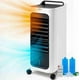 thumbnail image 1 of Enfriador y Calefactor 4 en 1  Sky Care con Pantalla LED Sky Care SC-ENCA4N1, 1 of 9