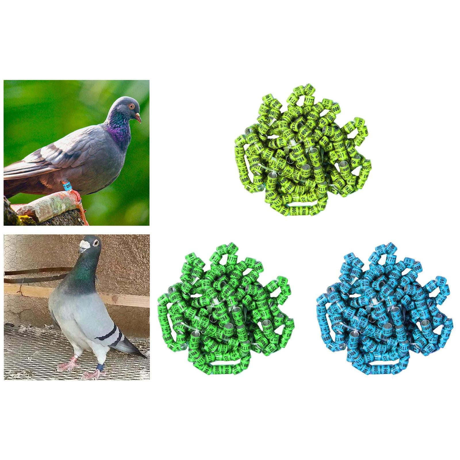 Anillos Para Patas De Palomas, 100 Unidades Numeradas 001-100, Plástico Verde, 8mm - ¡Identifica Tus Aves Fácilmente!