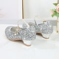 thumbnail image 3 of GYRATEDREAM Low Heel Dress Shoes for Toddler Girl Little Princess Girl Glitter Mary Jane Ballet Flats, 3 of 7