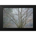 thumbnail image 2 of Mahan, Kathy 14x11 Black Modern Framed Museum Art Print Titled - Foggy Winter I, 2 of 5