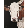 thumbnail image 2 of Redman, Suzi 12x14 Black Ornate Wood Framed with Double Matting Museum Art Print Titled - Portrait of a Hereford, 2 of 4