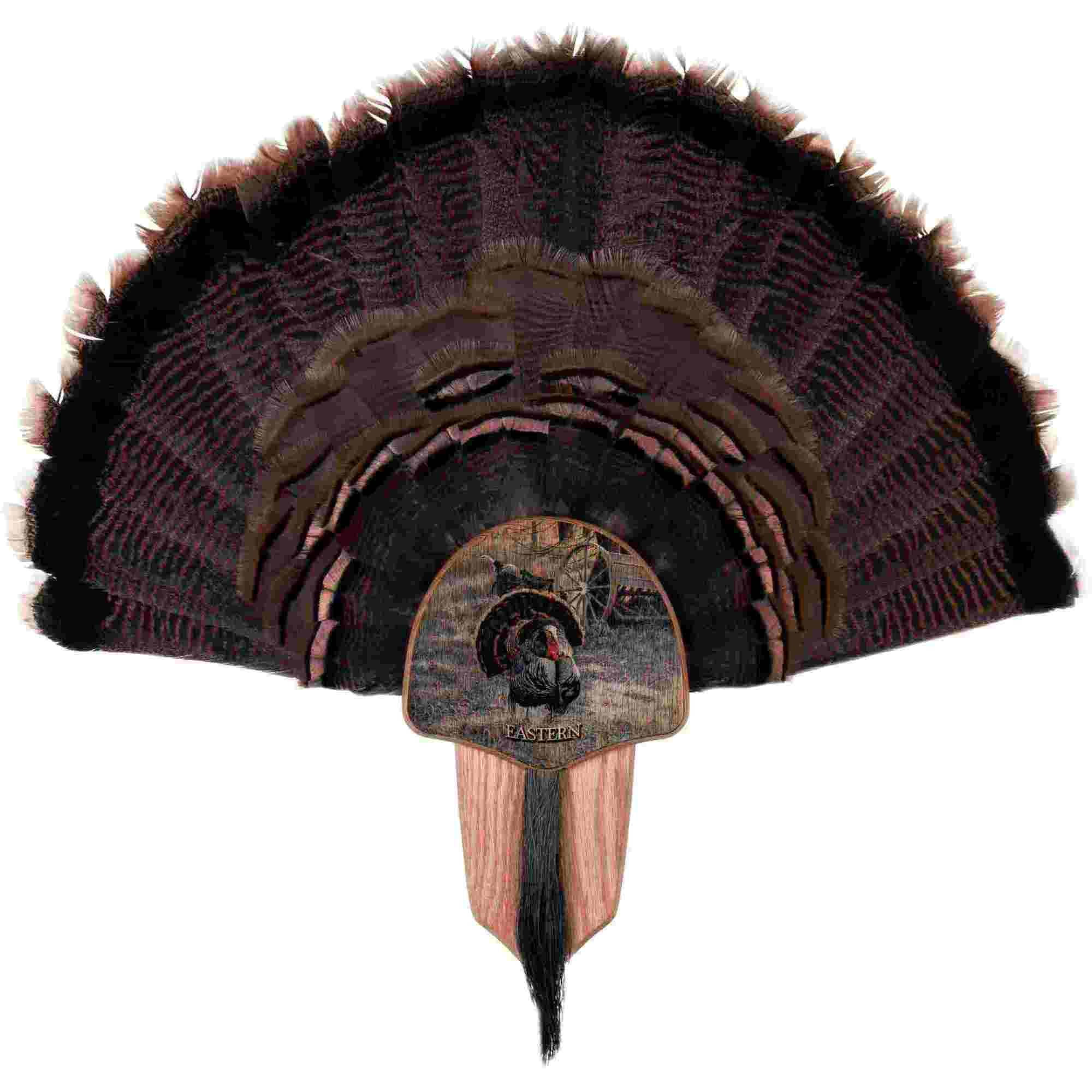 Hunters Specialties Turkey Tail & Beard Mounting Kit 00849 for sale online 