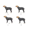thumbnail image 2 of Thinsony Grey Wide Application Dog Suit For Indoor And Outdoor Quick-drying Protection Easy To Wear Deep Grey S, 2 of 6