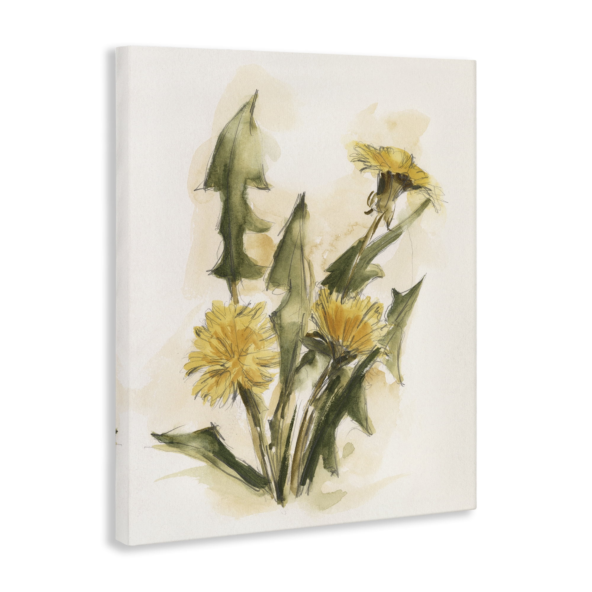 Stupell Industries Traditional Yellow Dandelion Botanical & Floral Painting Gallery Wrapped Canvas Art Print Wall Art, 16 x 20