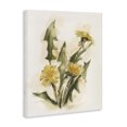 thumbnail image 3 of Stupell Industries Farmhouse Traditional Yellow Dandelion Canvas Art, 36 x 48, by Ethan Harper, 3 of 8